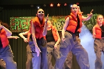 Bilder DG